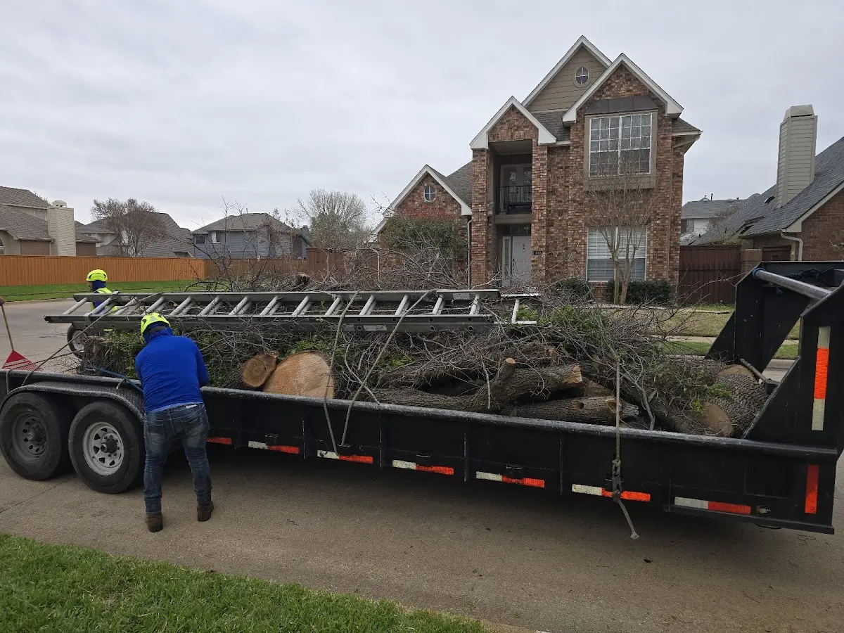 Expert Tree Pest Control with proper safety equipment in Zanesfield